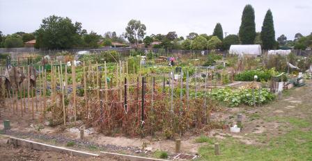 Gemeinschaftsgarten, Melbourne (Australien)